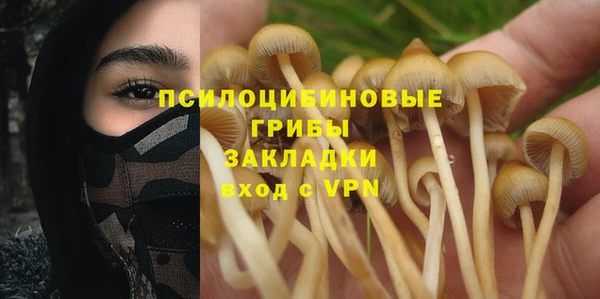 сатива Баксан