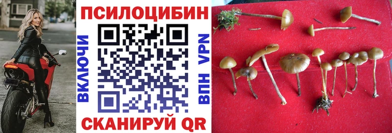 Псилоцибиновые грибы MAGIC MUSHROOMS  Железногорск-Илимский 